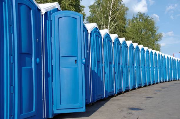 Best Affordable portable toilet rental  in Thornton, CO